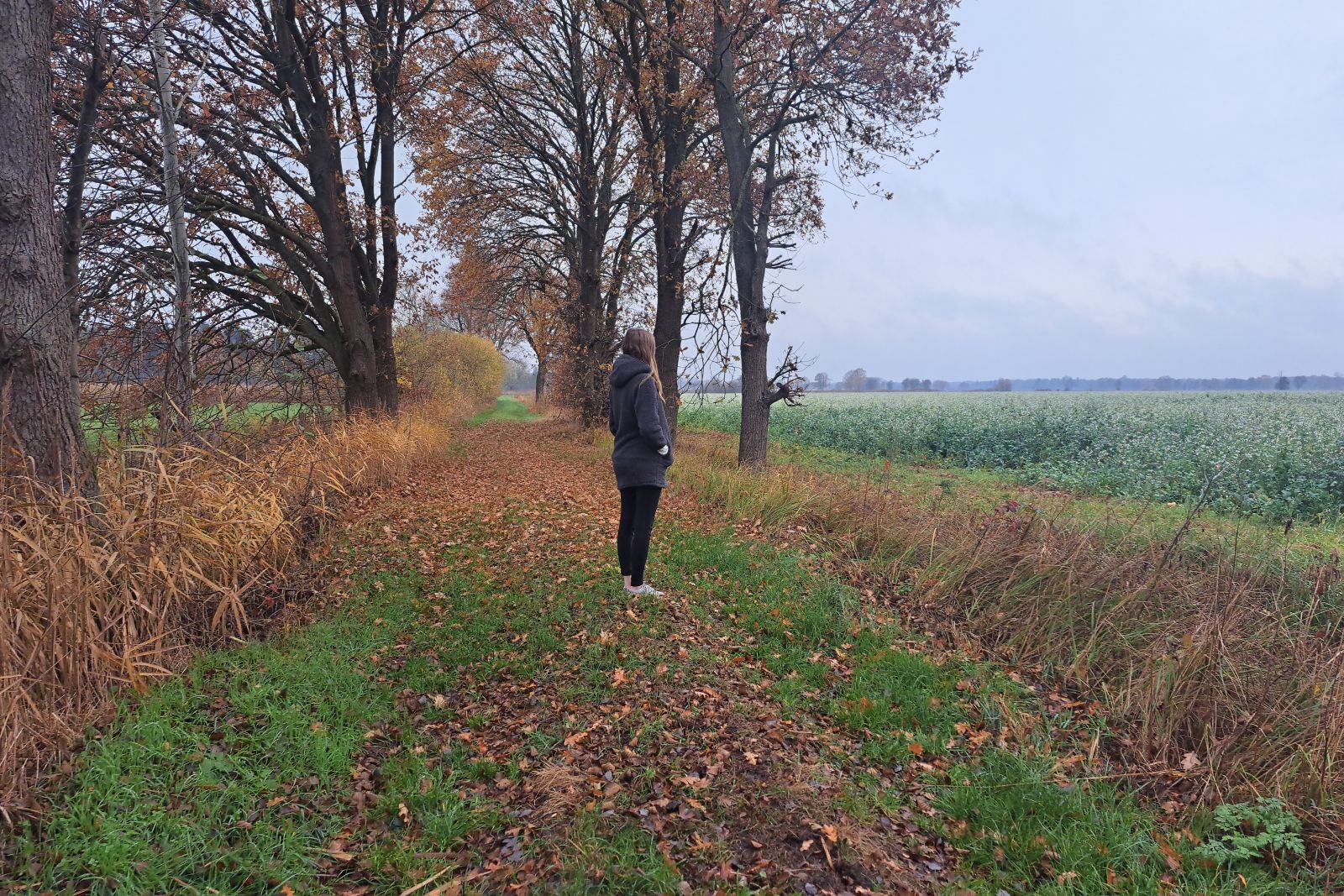 Ein stiller Schatten